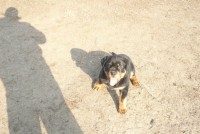 /album/kepgaleria-frenky-kolykei-o-/p1040304atmeret-jpg/