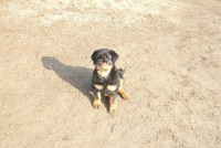 /album/kepgaleria-frenky-kolykei-o-/p1040301atmeret-jpg/